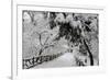 Central Park Path Deep Snow-Robert Goldwitz-Framed Photographic Print