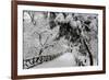 Central Park Path Deep Snow-Robert Goldwitz-Framed Photographic Print