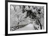 Central Park Path Deep Snow-Robert Goldwitz-Framed Photographic Print