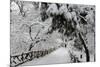 Central Park Path Deep Snow-Robert Goldwitz-Mounted Photographic Print