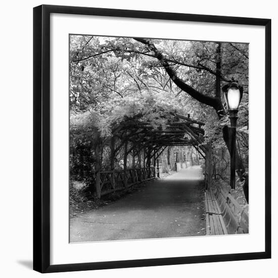 Central Park Pergola-Erin Clark-Framed Giclee Print
