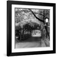 Central Park Pergola-Erin Clark-Framed Giclee Print