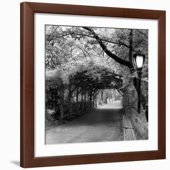 Central Park Pergola-Erin Clark-Framed Giclee Print