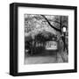 Central Park Pergola-Erin Clark-Framed Art Print