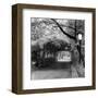 Central Park Pergola-Erin Clark-Framed Art Print