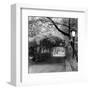 Central Park Pergola-Erin Clark-Framed Art Print