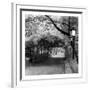 Central Park Pergola-Erin Clark-Framed Art Print