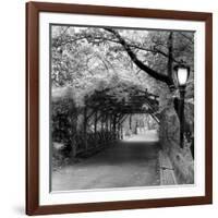 Central Park Pergola-Erin Clark-Framed Art Print