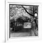 Central Park Pergola-Erin Clark-Framed Art Print