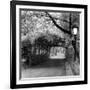 Central Park Pergola-Erin Clark-Framed Art Print