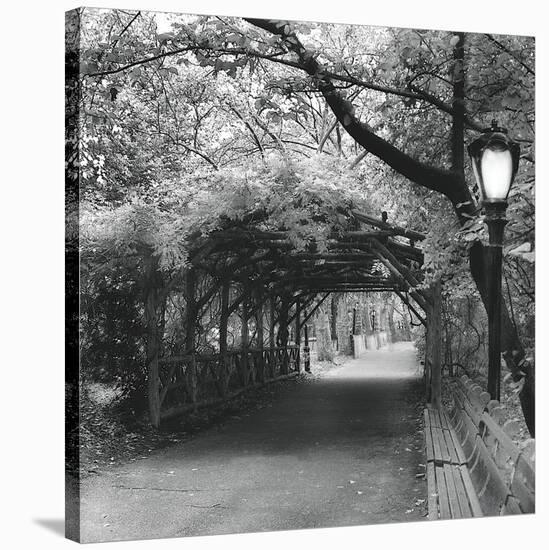 Central Park Pergola-Erin Clark-Stretched Canvas