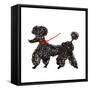 Central Park Poodle-Gina Ritter-Framed Stretched Canvas