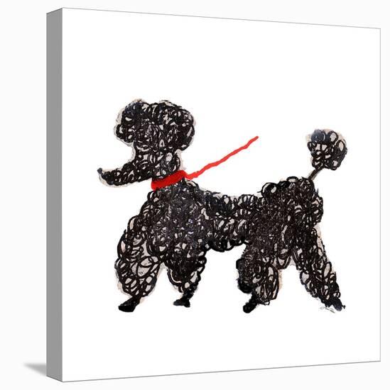 Central Park Poodle-Gina Ritter-Stretched Canvas