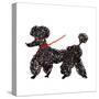 Central Park Poodle-Gina Ritter-Stretched Canvas