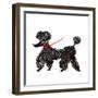 Central Park Poodle-Gina Ritter-Framed Art Print