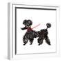 Central Park Poodle-Gina Ritter-Framed Art Print