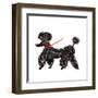 Central Park Poodle-Gina Ritter-Framed Art Print