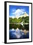 Central Park Reflection-Philippe Hugonnard-Framed Giclee Print