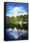 Central Park Reflection-Philippe Hugonnard-Framed Stretched Canvas