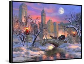 Central Park Ride-Dominic Davison-Framed Stretched Canvas