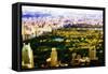Central Park Skyline V - In the Style of Oil Painting-Philippe Hugonnard-Framed Stretched Canvas