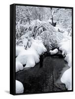 Central Park Snow and Stream-Yoni Teleky-Framed Stretched Canvas