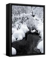 Central Park Snow and Stream-Yoni Teleky-Framed Stretched Canvas