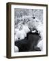 Central Park Snow and Stream-Yoni Teleky-Framed Art Print