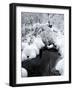 Central Park Snow and Stream-Yoni Teleky-Framed Art Print