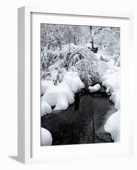 Central Park Snow and Stream-Yoni Teleky-Framed Art Print