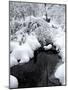 Central Park Snow and Stream-Yoni Teleky-Mounted Art Print