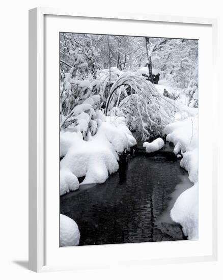 Central Park Snow and Stream-Yoni Teleky-Framed Art Print