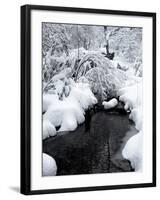 Central Park Snow and Stream-Yoni Teleky-Framed Art Print