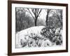 Central Park Snow Covered Trees I-Yoni Teleky-Framed Art Print