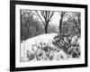 Central Park Snow Covered Trees I-Yoni Teleky-Framed Art Print