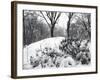 Central Park Snow Covered Trees I-Yoni Teleky-Framed Art Print