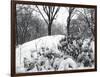 Central Park Snow Covered Trees I-Yoni Teleky-Framed Art Print