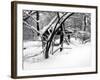 Central Park Snow Covered Trees II-Yoni Teleky-Framed Art Print