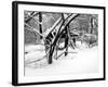 Central Park Snow Covered Trees II-Yoni Teleky-Framed Art Print