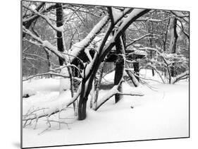 Central Park Snow Covered Trees II-Yoni Teleky-Mounted Art Print