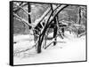 Central Park Snow Covered Trees II-Yoni Teleky-Framed Stretched Canvas