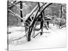 Central Park Snow Covered Trees II-Yoni Teleky-Stretched Canvas