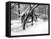 Central Park Snow Covered Trees II-Yoni Teleky-Framed Stretched Canvas