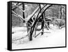 Central Park Snow Covered Trees II-Yoni Teleky-Framed Stretched Canvas