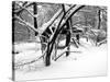 Central Park Snow Covered Trees II-Yoni Teleky-Stretched Canvas