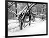 Central Park Snow Covered Trees II-Yoni Teleky-Framed Art Print