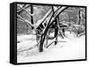 Central Park Snow Covered Trees II-Yoni Teleky-Framed Stretched Canvas