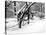 Central Park Snow Covered Trees II-Yoni Teleky-Stretched Canvas