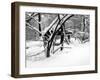 Central Park Snow Covered Trees II-Yoni Teleky-Framed Art Print
