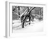 Central Park Snow Covered Trees II-Yoni Teleky-Framed Art Print